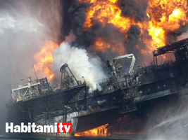 Deepwater Horizon, il disastro ambientale della piattaforma petrolifera